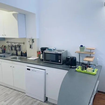 Grand Palais Centre דירה *