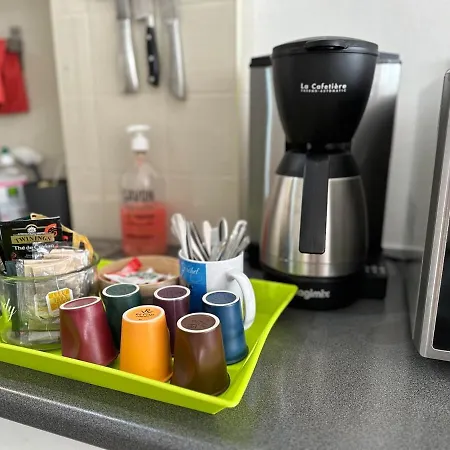 Grand Palais Centre דירה *