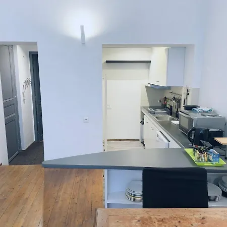 Grand Palais Centre דירה *