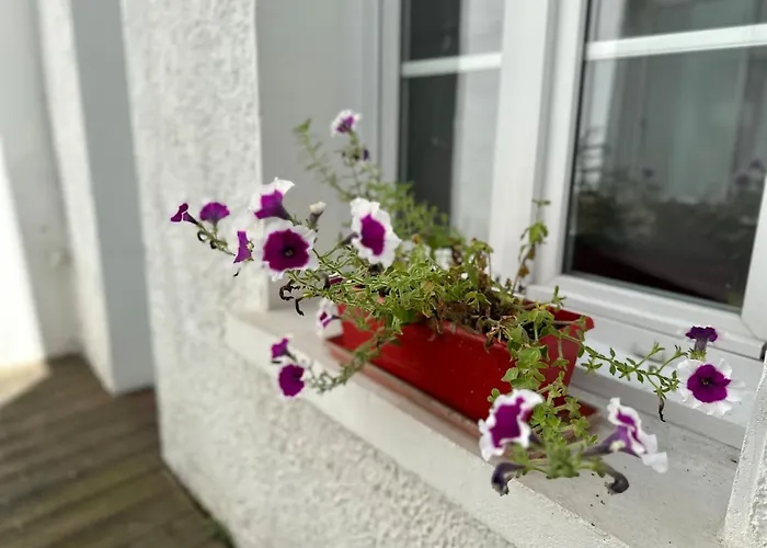 Apartment Grand Palais Centre