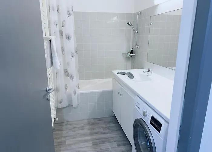 Apartment Grand Palais Centre