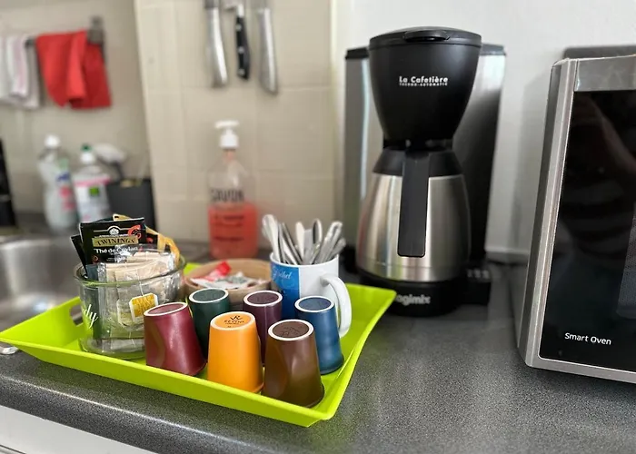 Grand Palais Centre Apartment *